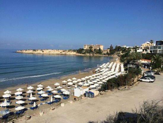 Paradise Gardens IV 2 Bd Amazing Apartment Paphos Buitenkant foto